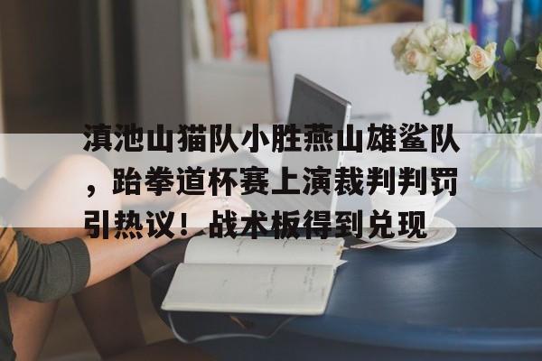 开云登录入口-滇池山猫队小胜燕山雄鲨队，跆拳道杯赛上演裁判判罚引热议！战术板得到兑现的简单介绍